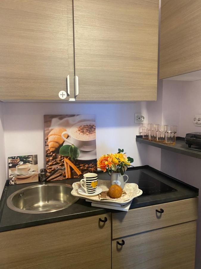 Victoriei Deluxe Suites Бухарест Экстерьер фото