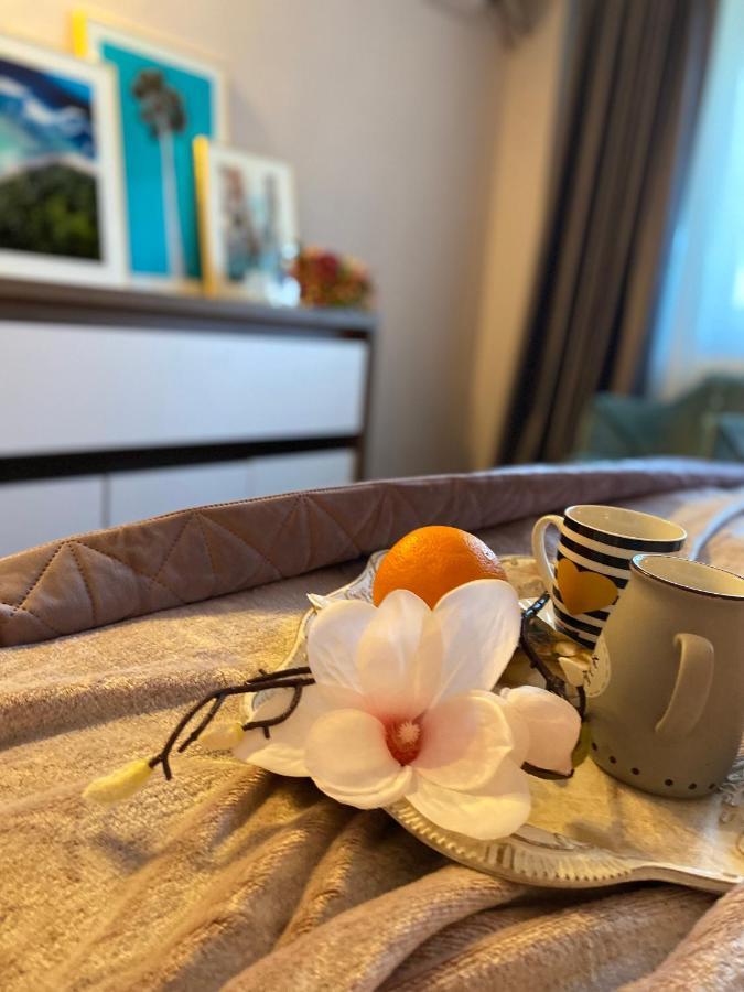 Victoriei Deluxe Suites Бухарест Экстерьер фото